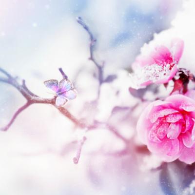 Echinocţiul de primăvară 2018 are loc pe 20 martie. Ce trebuie să faci pentru a avea noroc?