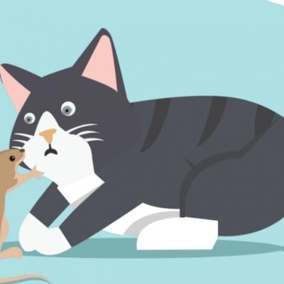 Tom și Jerry împlinesc 80 de ani