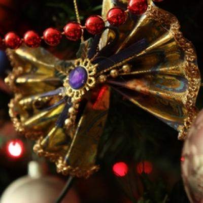  Atelier - Concurs de impodobit mini-brazi, pe 12 si 13 decembrie