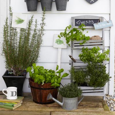 Cum sa iti transformi balconul intr-o mica gradina