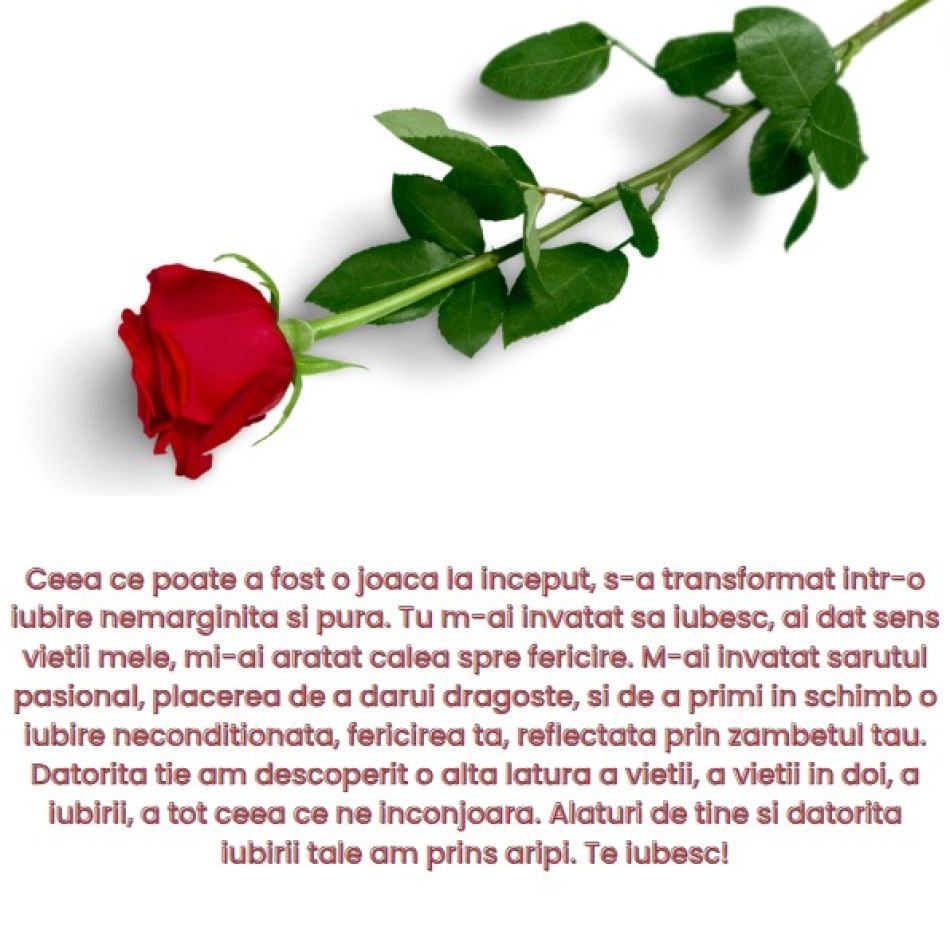 Mesaje de dragoste. Cele mai frumoase declarații de iubire pentru sufletul tău pereche