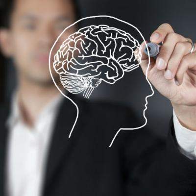 Primul CREIER obtinut in laborator din CELULE STEM