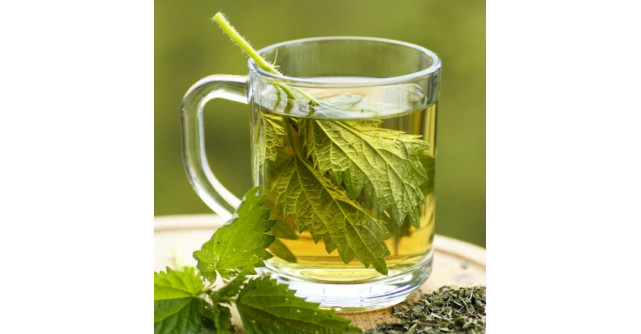 CEAIUL DE URZICA - licoarea Sfantului din Tibet: 27 de Beneficii Extraordinare