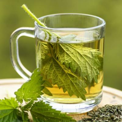 CEAIUL DE URZICA - licoarea Sfantului din Tibet: 27 de Beneficii Extraordinare