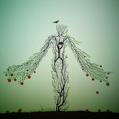 Oracolul roadelor: ce dar al naturii te reprezinta?