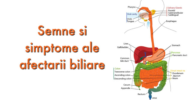 7 Semne ca ai probleme cu FIEREA
