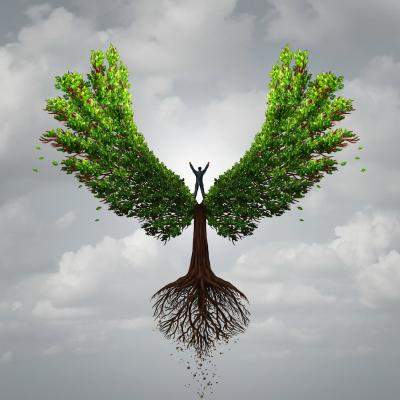 5 sfaturi de viata de la Ed McCabe: cum sa te bucuri de fiecare zi