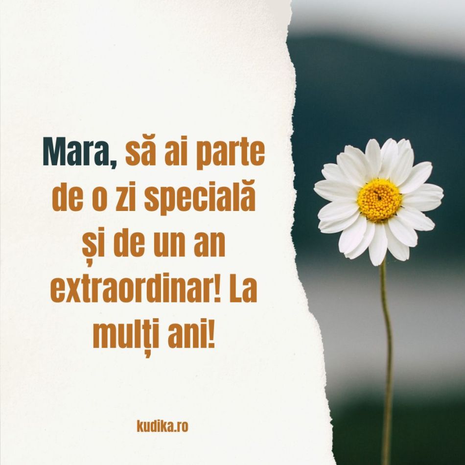 Adormirea Maicii Domnului (15 august) și Sf. Maria Mică (8 august). Când spunem La mulți ani? Diferențe și semnificații