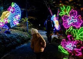 BLACK DAYS - Garden of Lights – Small World
