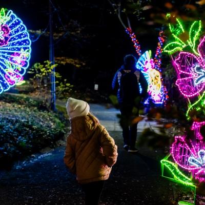  BLACK DAYS - Garden of Lights – Small World