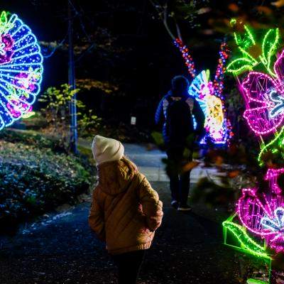  BLACK DAYS - Garden of Lights – Small World