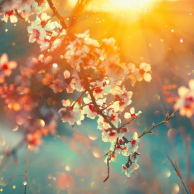 Traditii si obiceiuri pentru ziua de 9 martie