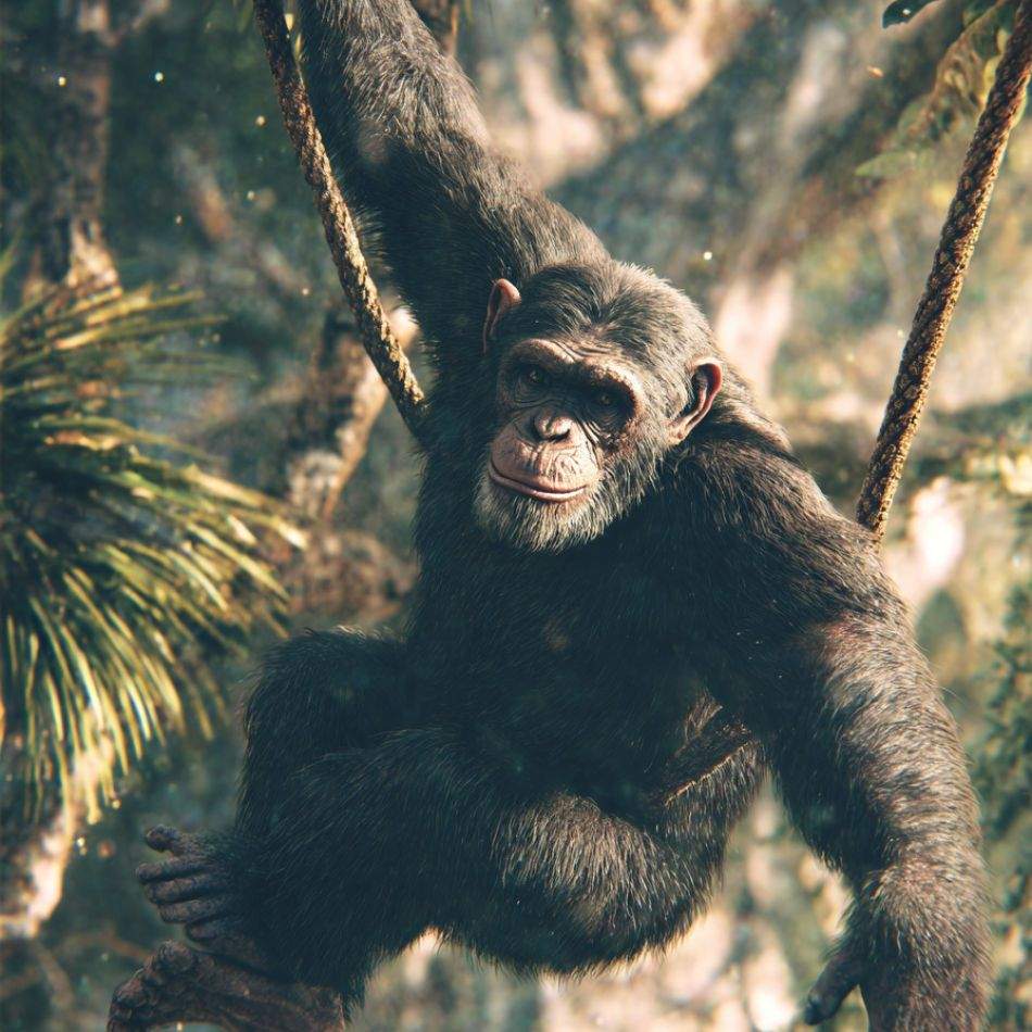 Cum arăta Lucy, strămoașa tuturor oamenilor: Fosila de Australopithecus care rescrie tot ce credeam despre originile noastre