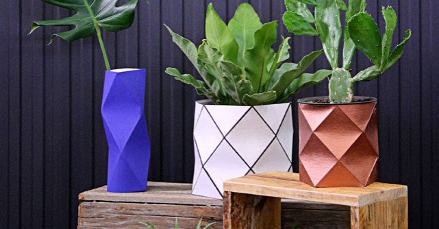 Cum sa revitalizezi o planta