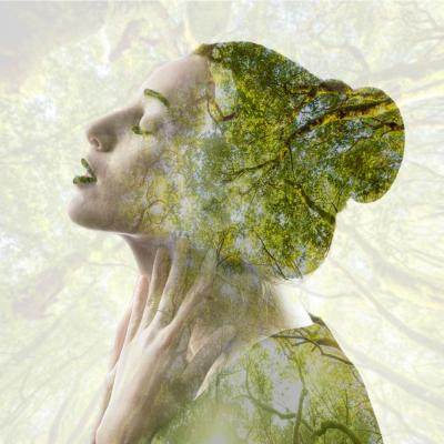 Invinge cei 4 dusmani nevazuti din mintea ta