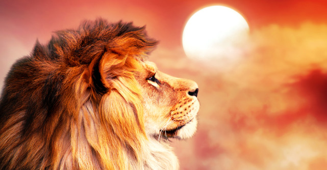 Cele 10 Legi Astrale ale zodiei Leu: Vocea Universului ce te îndeamnă să faci cele mai bune alegeri pentru tine