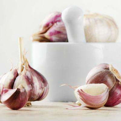 Secretul descoperit de UNESCO in 1972: Reteta miraculoasa cu USTUROI din Tibet