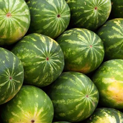 Trei dintre cele mai populare alimente consumate vara și beneficiile lor pentru organism