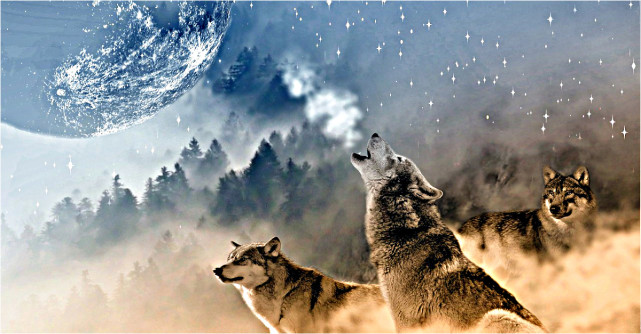 Luna Lupului de pe 7 ianuarie are intensitatea si si forta a 100 de Luni Pline. Este timpul sa ne punem dorintele potrivite