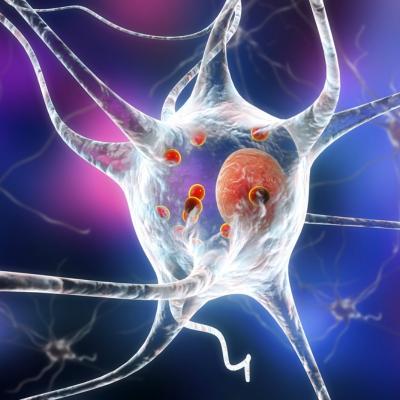 Totul despre boala Parkinson: simptome, cauze si tratament