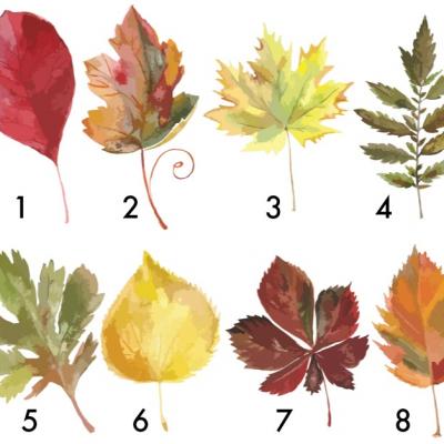 Alege o frunză și află ce îți rezervă finalul de an 2018