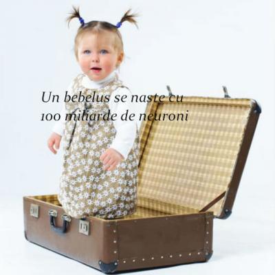 Stiati ca...7 Curiozitati despre CREIERUL  bebelusului