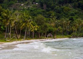 Survivor România revine pe Antena 1. Cine sunt primii 12 concurenți ai echipei Faimoșilor