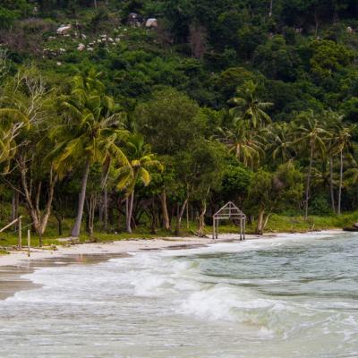 Survivor România revine pe Antena 1. Cine sunt primii 12 concurenți ai echipei Faimoșilor 