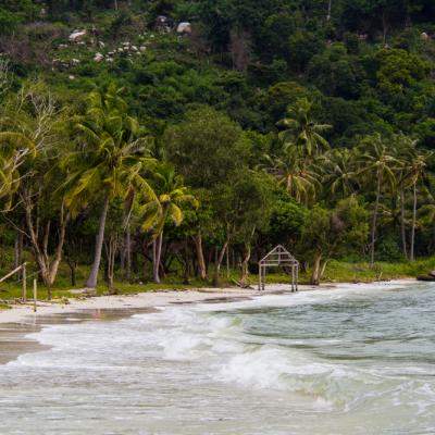 Survivor România revine pe Antena 1. Cine sunt primii 12 concurenți ai echipei Faimoșilor 