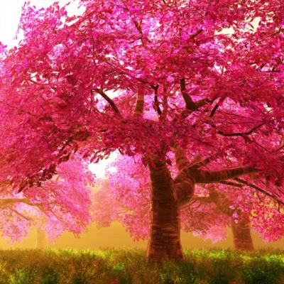 Primavara in imagini si citate inspirationale 