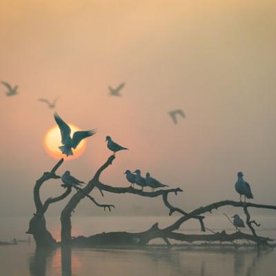 Miniseria „România sălbatică”, din 12 mai pe HBO Max