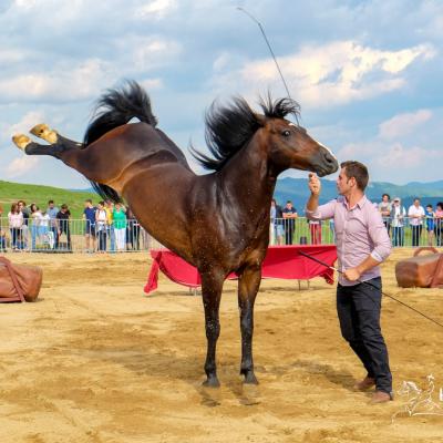  Un festival despre haiduci și cai