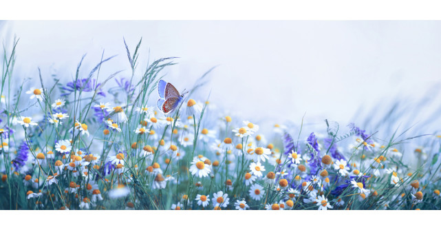 Viața este o carte în care fiecare semnează cu sufletul