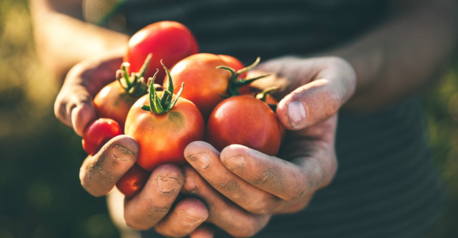 Din alimentele verii. Rosiile, beneficii pentru organism