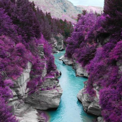 15 poze superbe de toamna