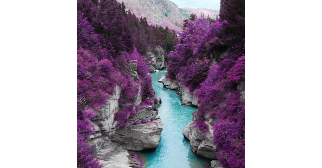 15 poze superbe de toamna