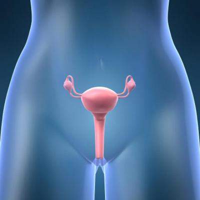 Fibromul uterin - afla, discuta, decide! 