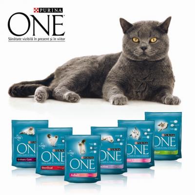 (P) Provoaca-ti pisica la o viata sanatoasa!