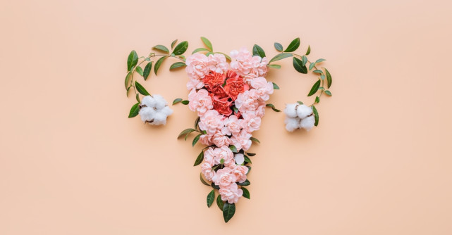 Uterul retrovers - ce înseamnă - detalii de un medic ginecolog