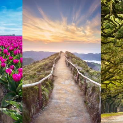 Alege o carare si noi iti vom spune cum va fi aceasta vara pentru tine