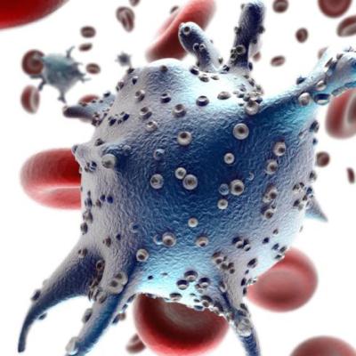 Neutrofile scazute sau neutrofile crescute: cum sa interpretezi analizele de sange