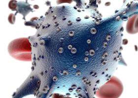 Neutrofile scazute sau neutrofile crescute: cum sa interpretezi analizele de sange