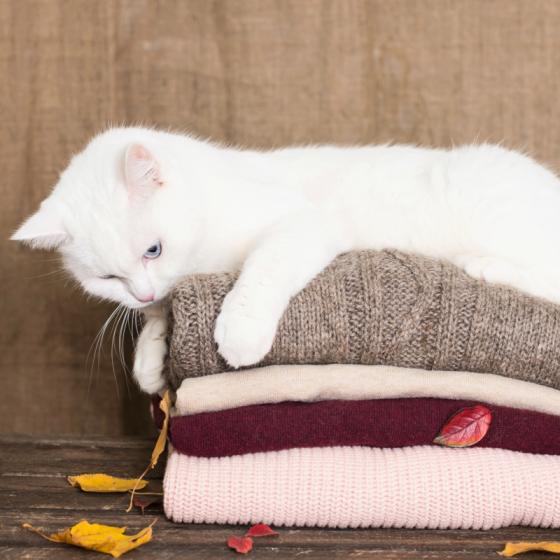 Cardigane si pulovere tricotate pentru zile friguroase