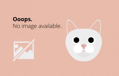 Quiz Harry Potter: In ce casa de la Hogwarts te-ar repartiza palaria?