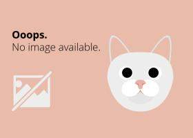 Hipotiroidia (Mixedemul, Gusa tiroidiana si tiroidita autoimuna): Cand glanda tiroida functioneaza deficitar