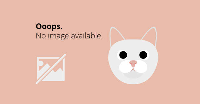 AFI Europe inchiriaza 5.200 mp brandului premium Peek&Cloppenburg in AFI Cotroceni 