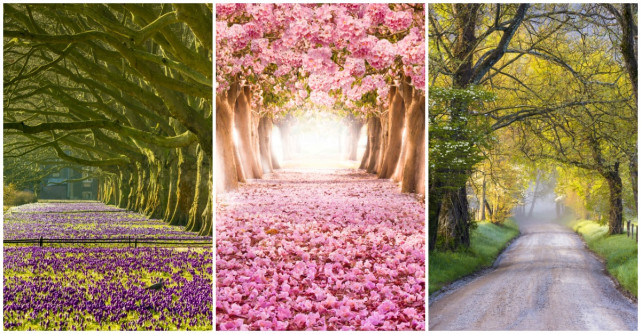 Alege una dintre cararile de mai jos pentru a descoperi adevarata ta personalitate si care este provocarea ta in viata