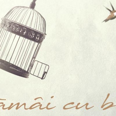 Vera lanseaza piesa Ramai cu bine