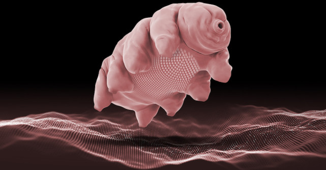 O noua descoperire: Pe fata ta traieste un microorganism cauzat de transpiratie ce se hraneste cu bacterii 