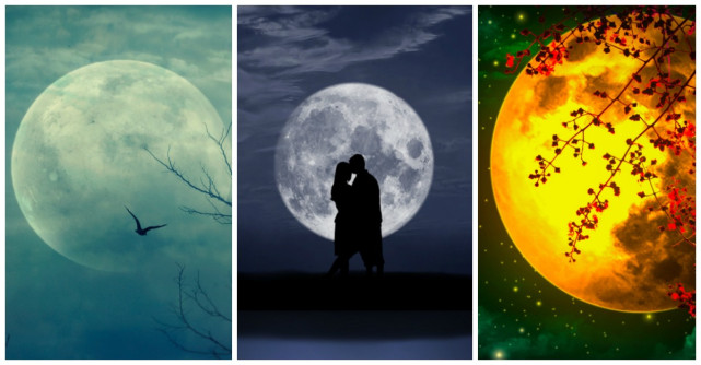 Alege o lună și află ce te așteaptă în această toamnă